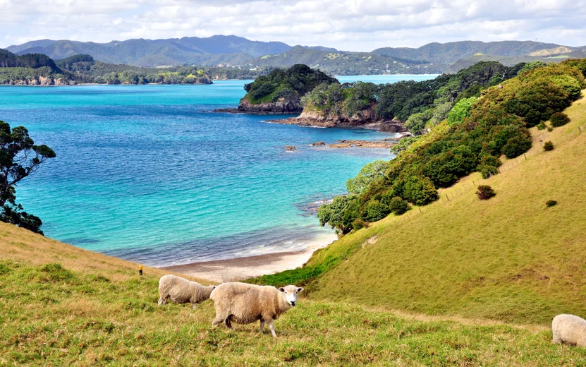 Bay of Islands